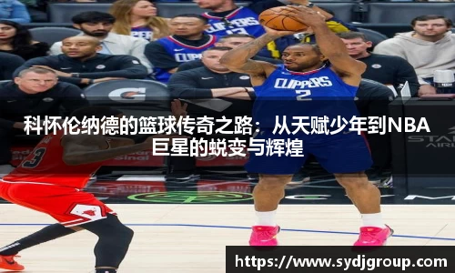 中欧体育官网