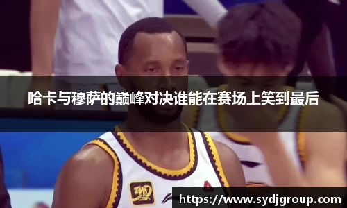 中欧体育官网